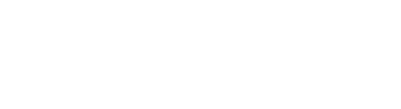 Palmonyx